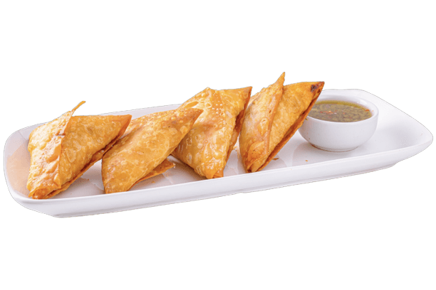 Chicken Samosa (Each)